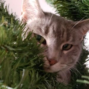 Meet your Posher, Katrina